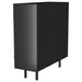 Dalia 2-door Accent Storage Cabinet with Shelving Black - 950385
