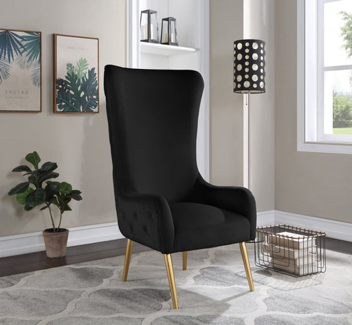 Alexander Black Velvet Accent Chair - 536Black - Vega Furniture