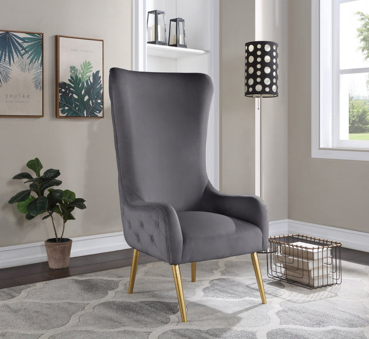 Alexander Grey Velvet Accent Chair - 536Grey - Vega Furniture