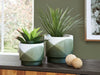 Ardenridge Green/White Planter, Set of 2 - A2000579 - Vega Furniture