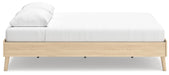 Cabinella Tan Queen Platform Bed - EB2444-113 - Vega Furniture