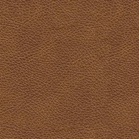 Carianna Caramel Sofa - 5760438 - Vega Furniture