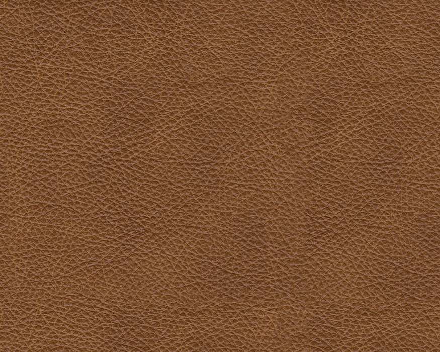 Emilia Caramel Leather 6-Piece Sectional - SET | 3090164 | 3090165 | 3090177 | 3090146 | 3090146 | 3090146 - Vega Furniture