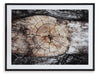 Freyburn Brown/Black/White Wall Art - A8000394 - Vega Furniture