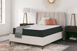 Limited Edition Firm White Twin Mattress - M41011 - Vega Furniture