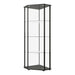 Zenobia Clear/Black Glass Shelf Curio Cabinet - 953234 - Vega Furniture